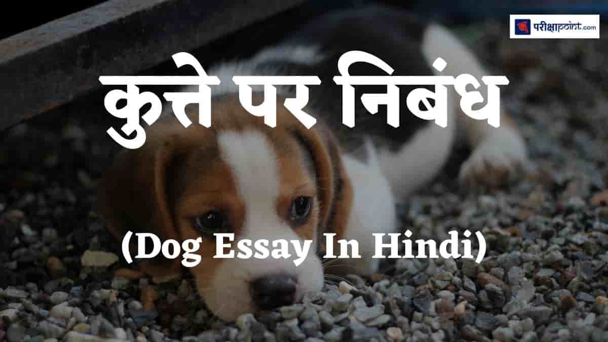 कुत्ते पर निबंध (Essay On Dog In Hindi)