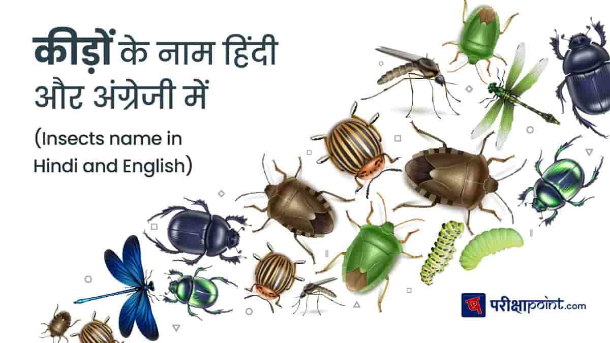 कीड़ों के नाम हिंदी और अंग्रेजी में (Insect names in Hindi and Engilsh)