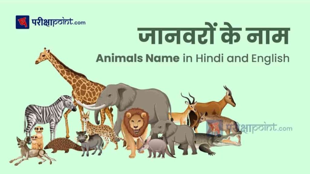 जानवरों के नाम Animals Name In Hindi And English 100 जानवरों के नाम देखें 1024x576 