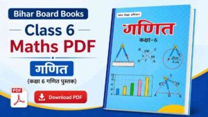 Bihar Board Books Class 6 Maths PDF